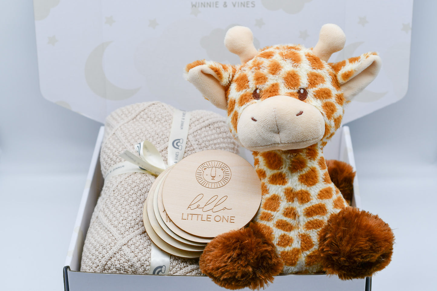 Knit Blanket, Giraffe and Milestone Discs Hamper