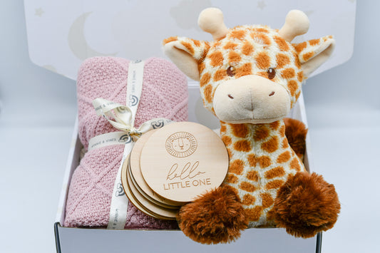 Knit Blanket, Giraffe and Milestone Discs Hamper